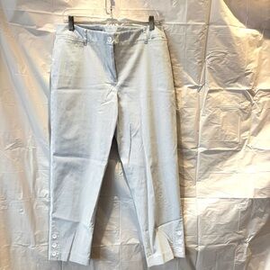 NWOT Talbots perfect crop pants blue white stripe SZ 10